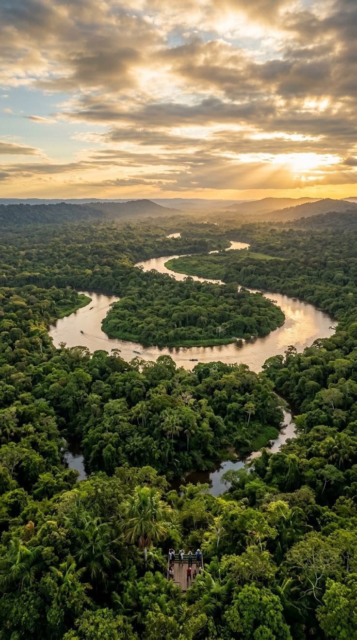 Amazon Rainforest